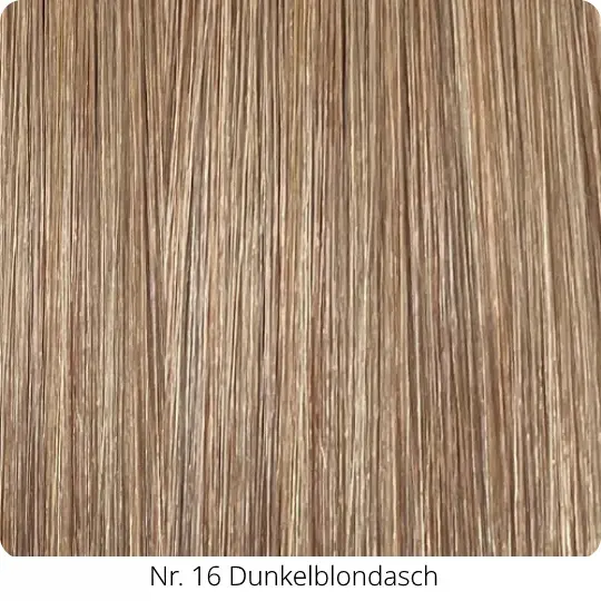 20-Nr 16.webp