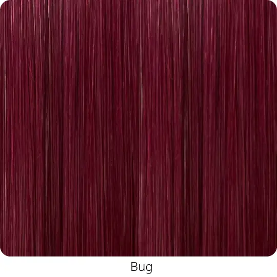 42-Bug.webp