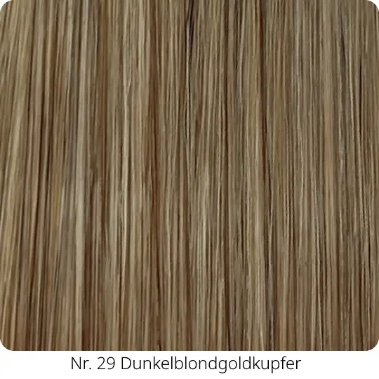 29-Nr 29.webp