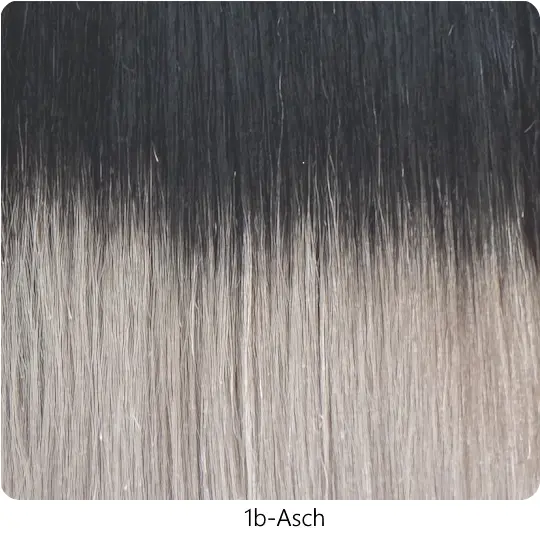 32-1b-asch.webp