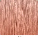 46-Rosa.webp